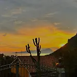 Le Tre Rose