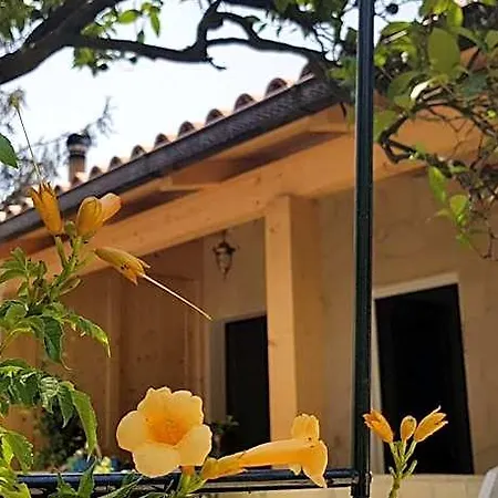 Le Tre Rose Bed & Breakfast Maratea