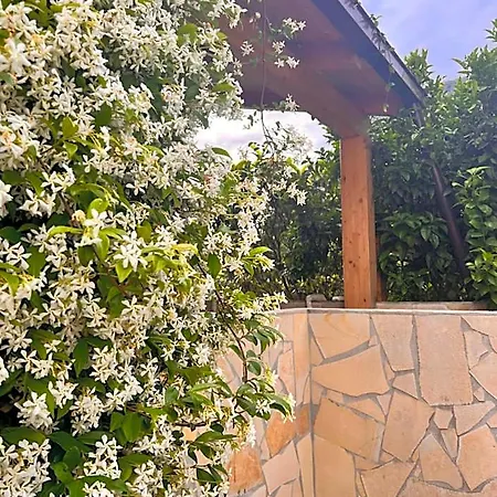 Bed & Breakfast Le Tre Rose Maratea