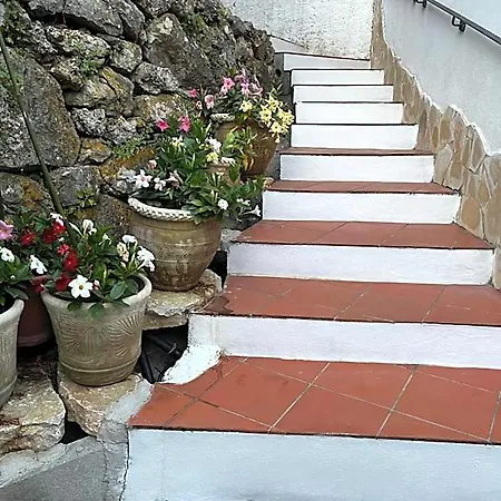 Le Tre Rose