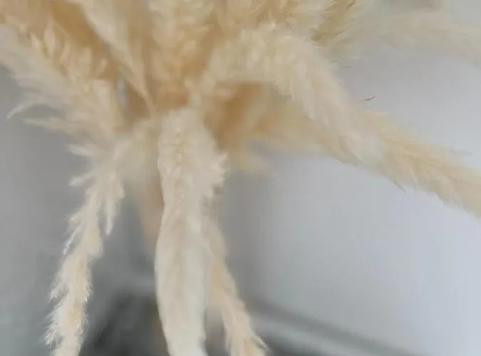 Le Tre Rose 3* Maratea